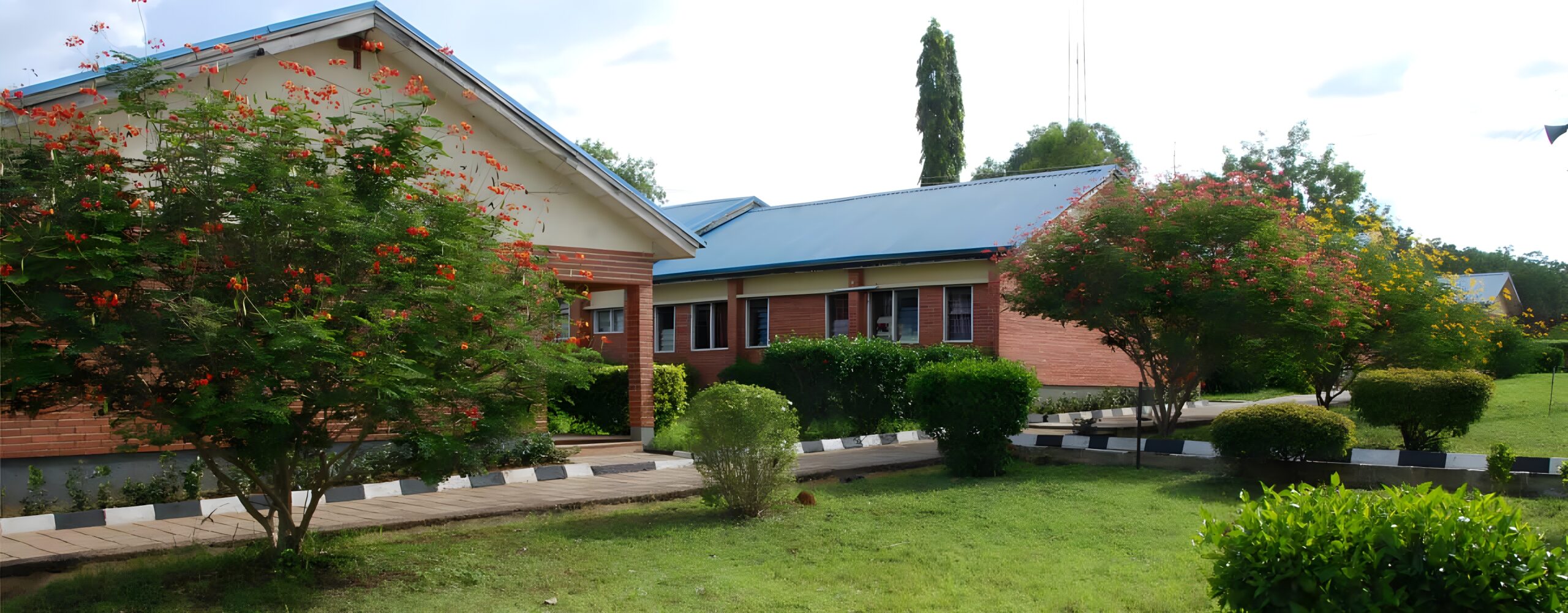 Reviews: Thomas Adewumi International College, Kwara